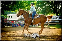 05. Clover Leaf Barrels Horse  Sr. Rider