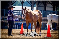 18. Western Grooming & Showmanship - Sr. Division