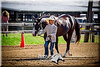 20. Western Grooming & Showmanship - Jr. Division