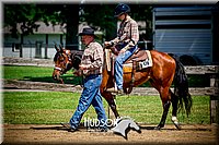 73. Walk-Trot Equit - Minimal Assistance