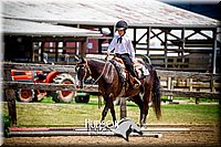 33. Open Trail Ponies