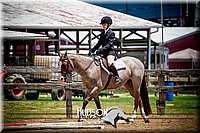 35. Open Trail Horse, Sr. Rider