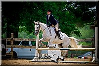 37. Hunter Hack Horses