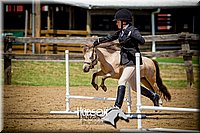 47. Mini Horse Jumping