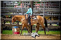 50. Western Pleasure Horses, Sr. Rider