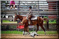 51. Western Pleasure Horses, Jr. Rider