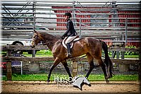 56. Classic Type HUS Horses - Sr. Rider