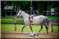 58. Classic Type HUS Horses - Jr. Rider