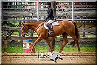 59. Breed Type HUS Horses - Jr. Rider