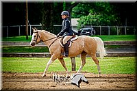 61. Hunter Under Saddle Ponies Large