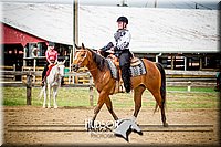 64. Beginner Western Horsemanship