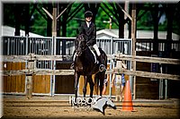 68. Beginner English Equitation