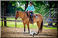 72. Novice Reining