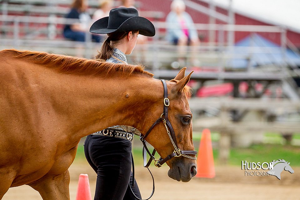 4H-2nd-070916-1029.jpg