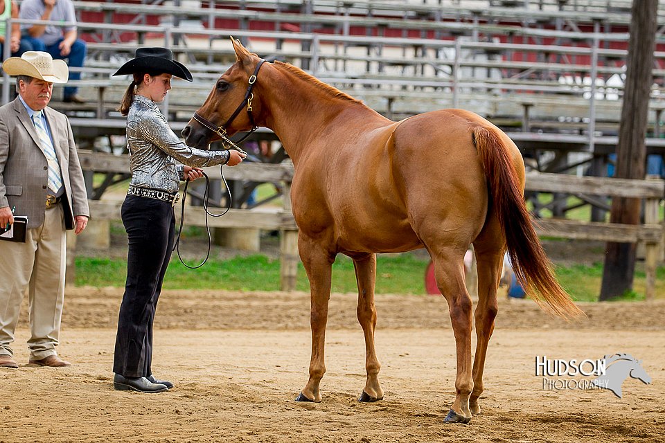 4H-2nd-070916-1030.jpg