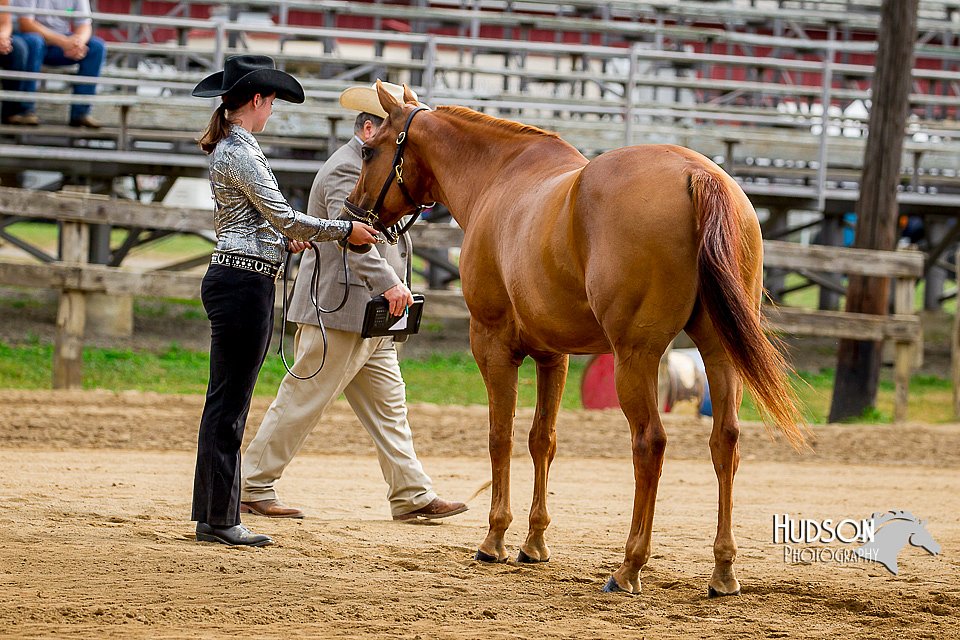 4H-2nd-070916-1031.jpg