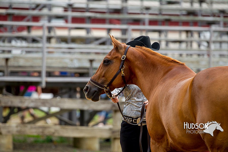4H-2nd-070916-1032.jpg
