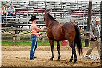 4H-2nd-070916-1045.jpg