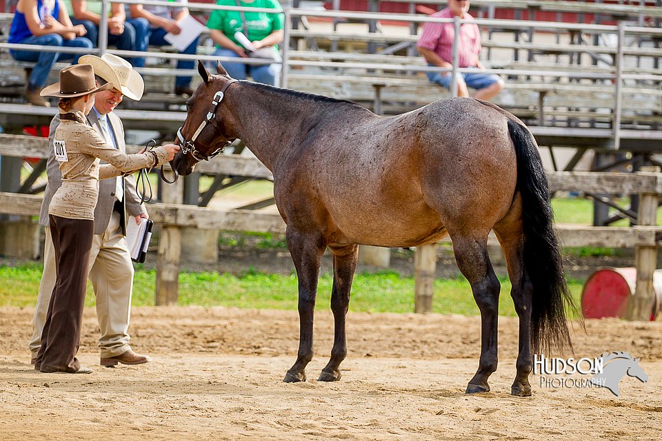 4H-2nd-070916-1103.jpg