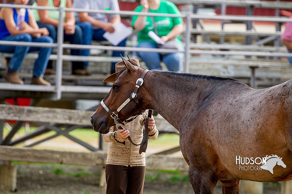 4H-2nd-070916-1104.jpg