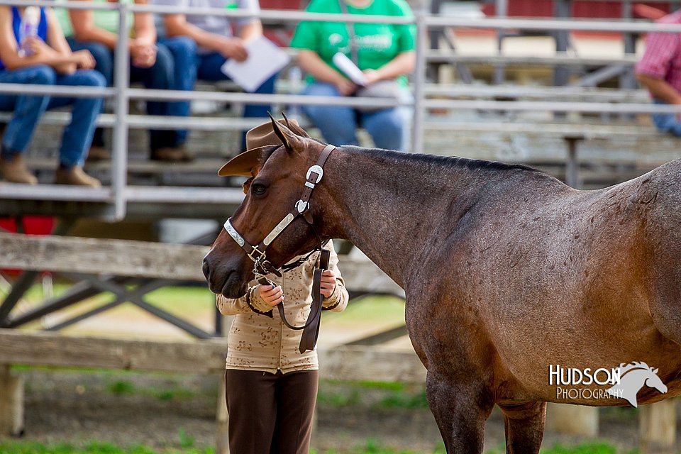 4H-2nd-070916-1105.jpg