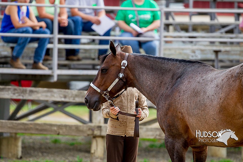 4H-2nd-070916-1108.jpg