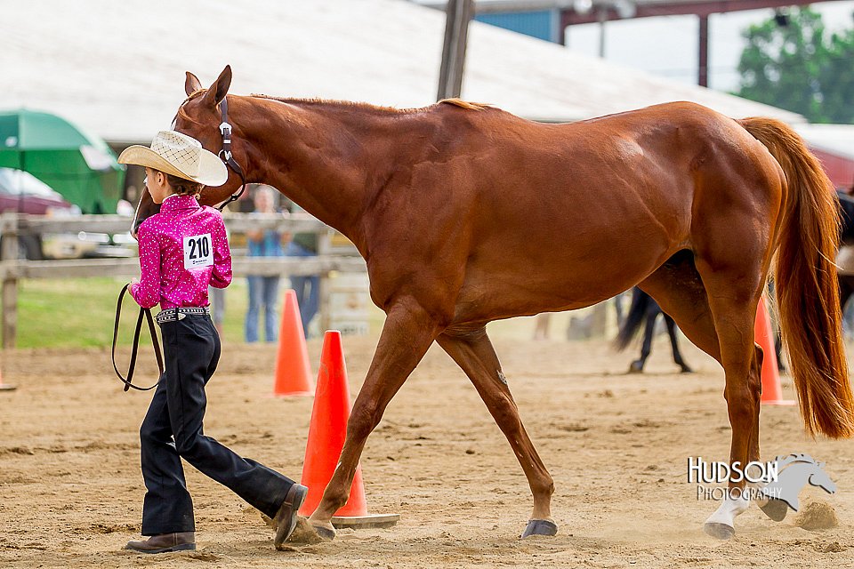 4H-2nd-070916-1111.jpg