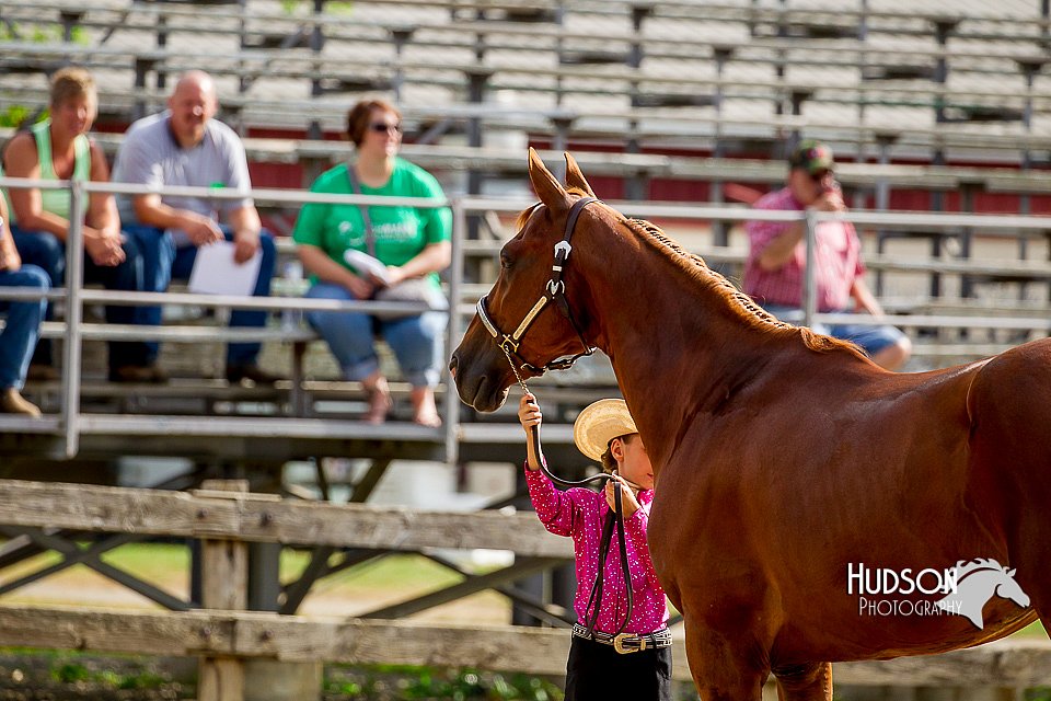 4H-2nd-070916-1113.jpg