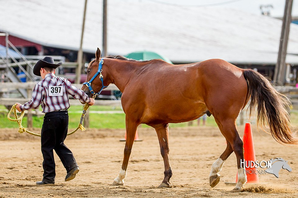 4H-2nd-070916-1121.jpg