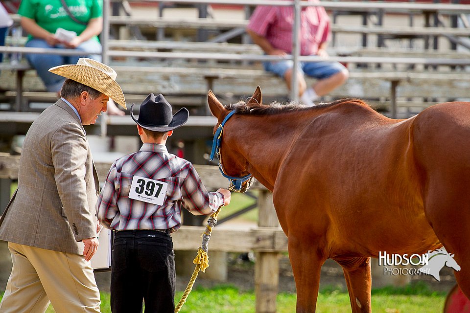 4H-2nd-070916-1123.jpg