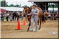 4H-2nd-070916-1088.jpg