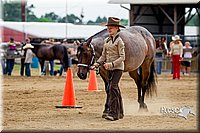 4H-2nd-070916-1100.jpg