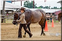 4H-2nd-070916-1102.jpg