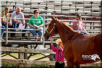 4H-2nd-070916-1113.jpg