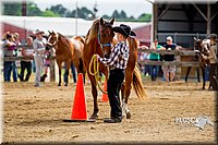 4H-2nd-070916-1117.jpg