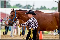 4H-2nd-070916-1118.jpg