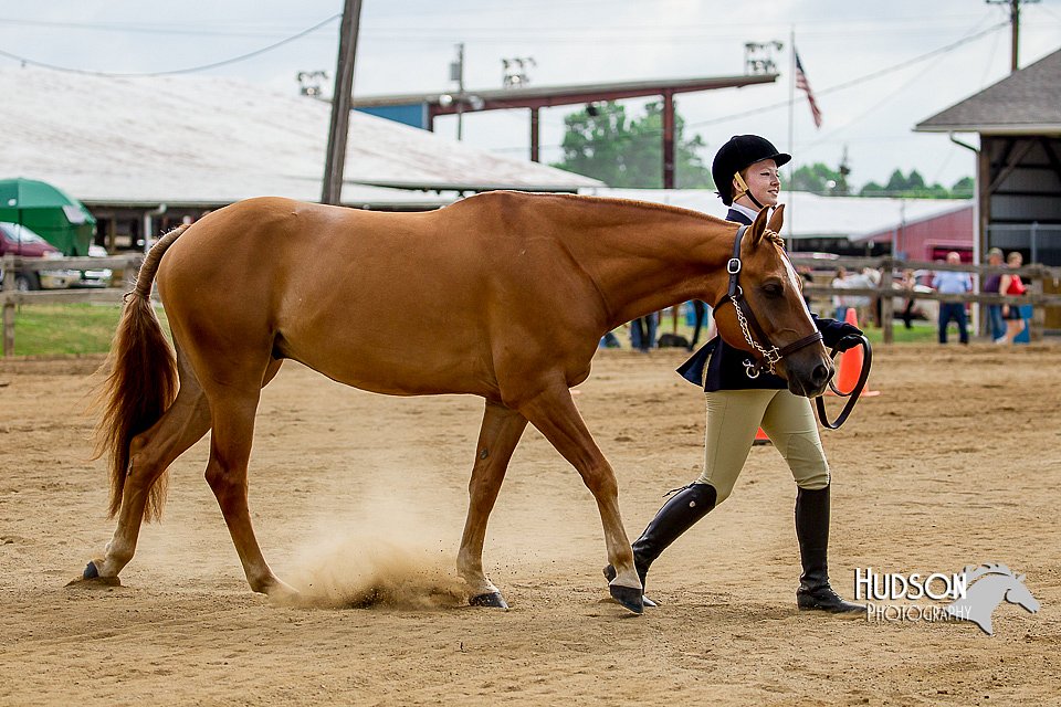 4H-2nd-070916-1181.jpg
