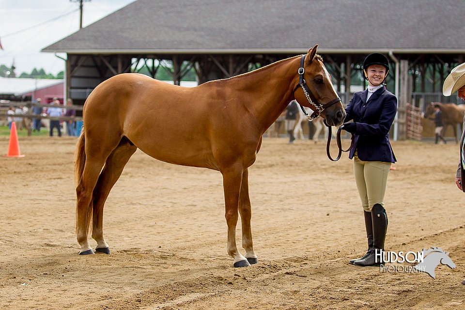 4H-2nd-070916-1183.jpg