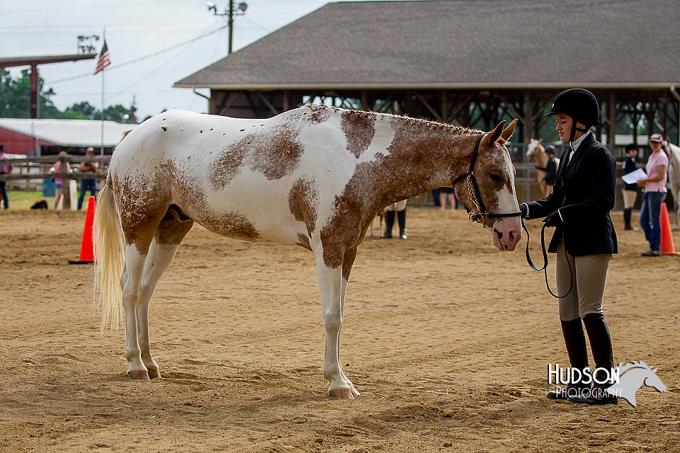 4H-2nd-070916-1200.jpg