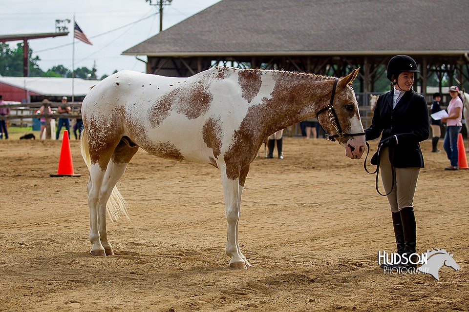 4H-2nd-070916-1201.jpg