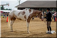 4H-2nd-070916-1200.jpg