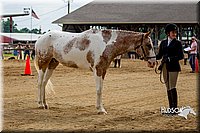 4H-2nd-070916-1201.jpg