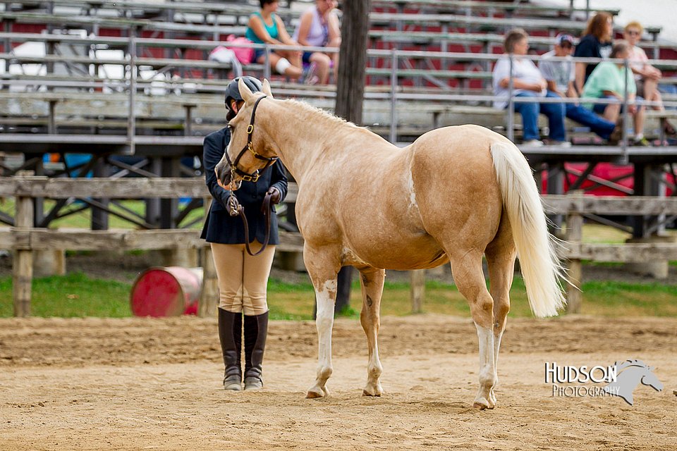 4H-2nd-070916-1236.jpg