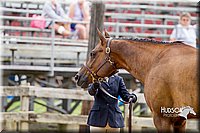 4H-2nd-070916-1254.jpg
