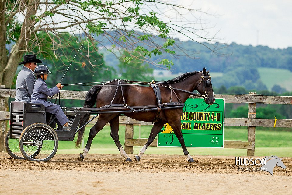 4H-2nd-070916-1386.jpg
