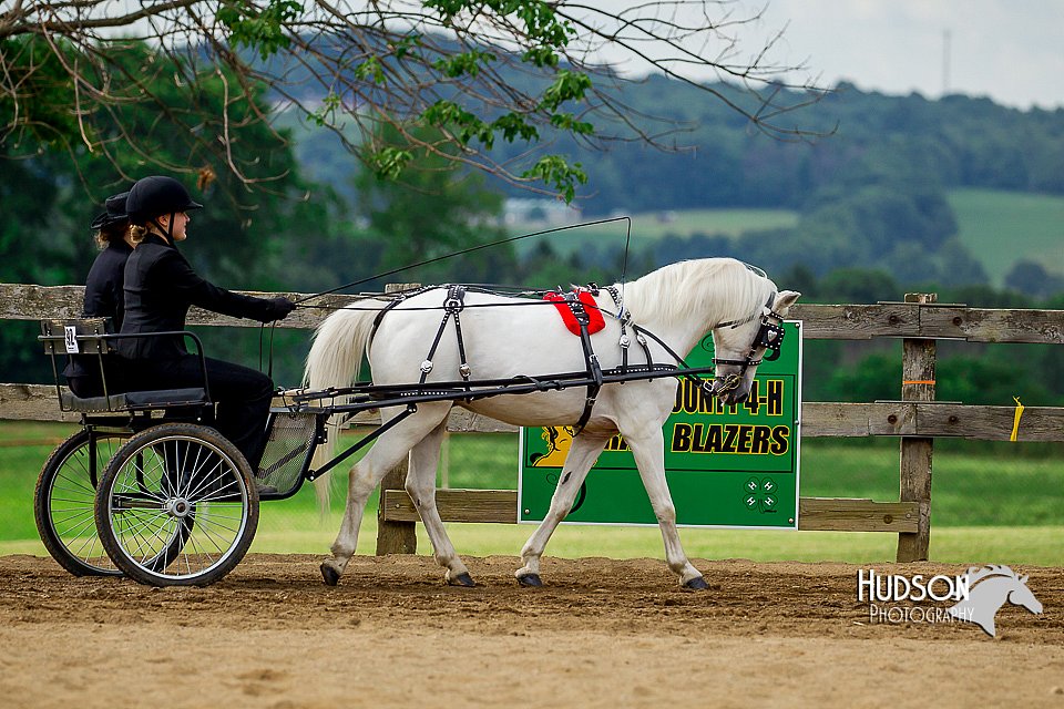 4H-2nd-070916-1389.jpg