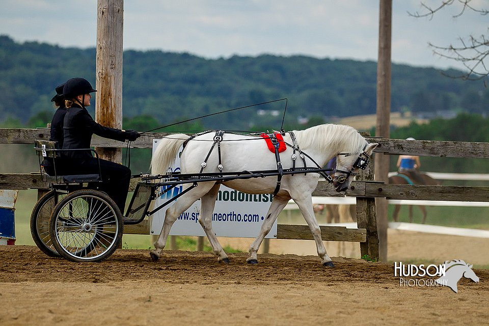 4H-2nd-070916-1390.jpg