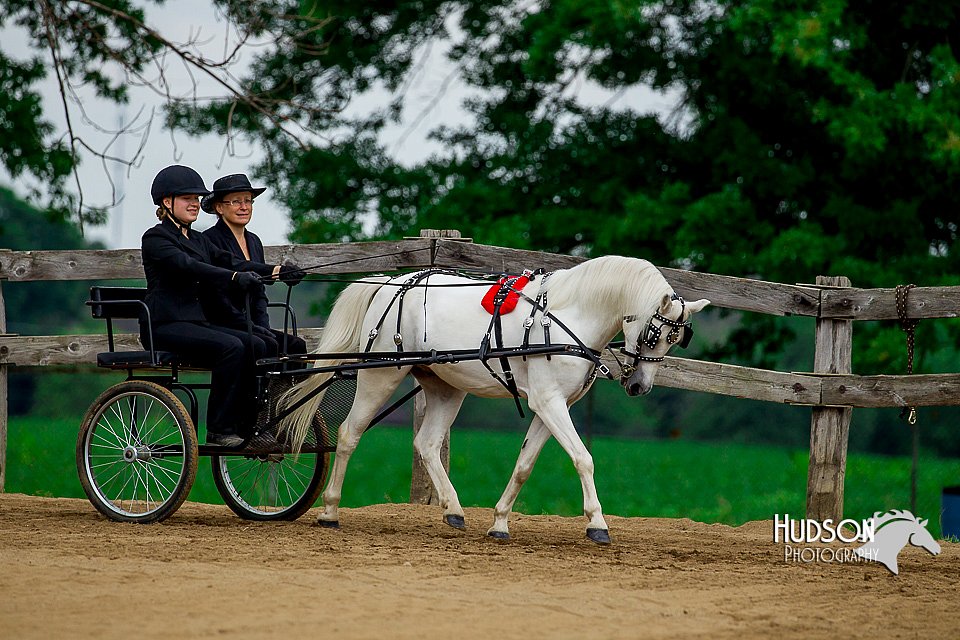 4H-2nd-070916-1396.jpg