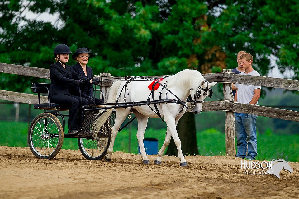 4H-2nd-070916-1397.jpg
