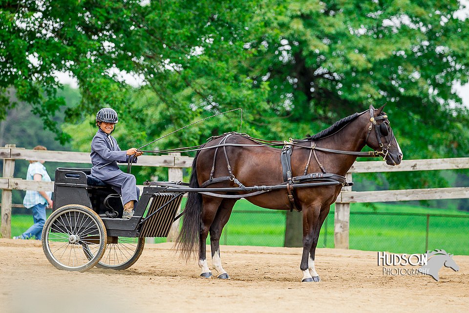 4H-2nd-070916-1411.jpg